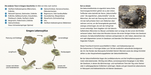 Infoseiten
